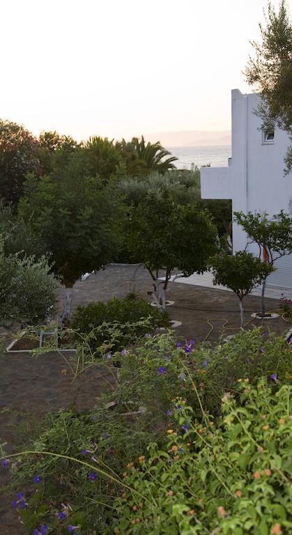 Creta Star Aparthotel Ájosz Nikólaosz Kültér fotó